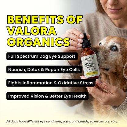 Lutein & Zeaxanthin Drops - Advanced Vision Formula For Dogs