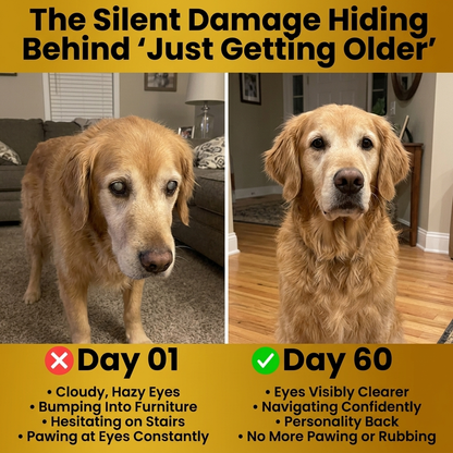 Lutein & Zeaxanthin Drops - Advanced Vision Formula For Dogs